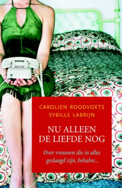 Gereduceerde Prijs Nu alleen de liefde nog - Carolien Roodvoets; Sybille Labrijn