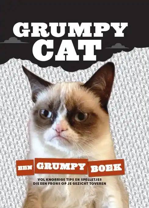 Flitsaanbieding Grumpy cat - Grumpy cat