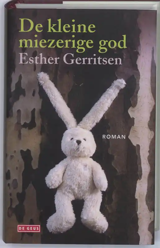 De kleine miezerige god - Esther Gerritsen Lage Kosten