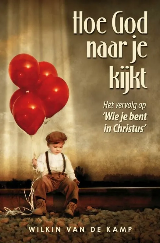 Hoe God naar je kijkt - Wilkin van de Kamp Flitsaanbieding