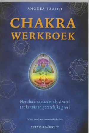 Chakra werkboek - Anodea Judith Goedkoop