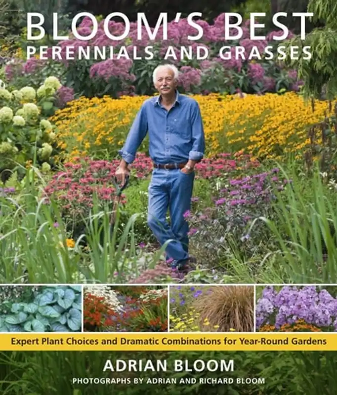 Alleen Vandaag Bloom's Best Perennials and Grasses Expert Plant Choices and Dramatic Combinations for Year-round Gardens - Adrian Bloom