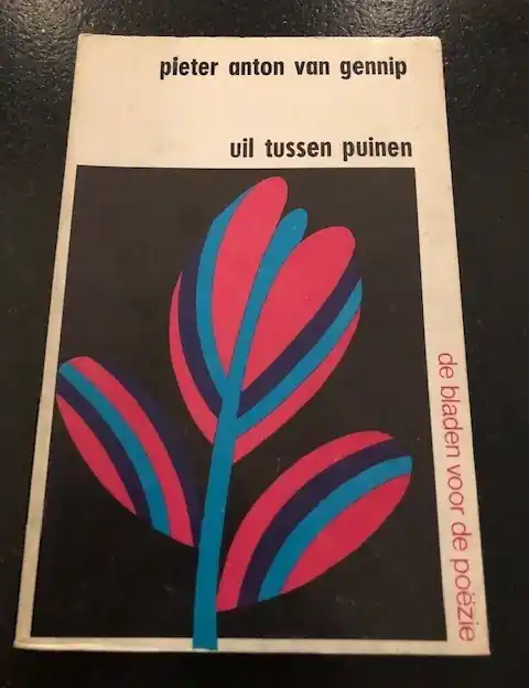 Rechtstreeks Van De Fabrikant Uil tussen puinen - Gennip