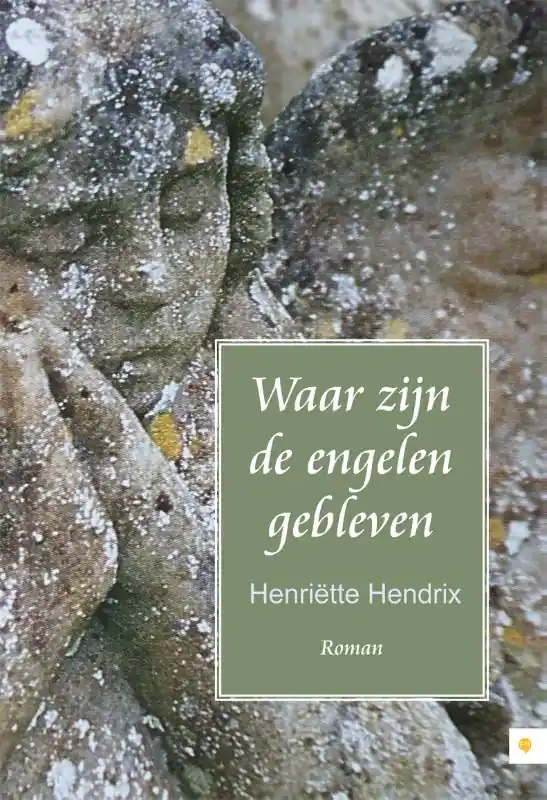 Hoge Kwaliteit Waar zijn de engelen gebleven - Henriette Hendrix