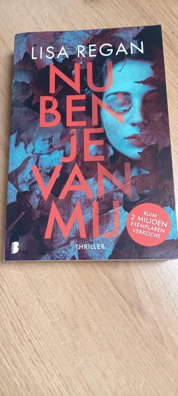 Nu ben je van mij - Lisa Regan Voordeelprijs