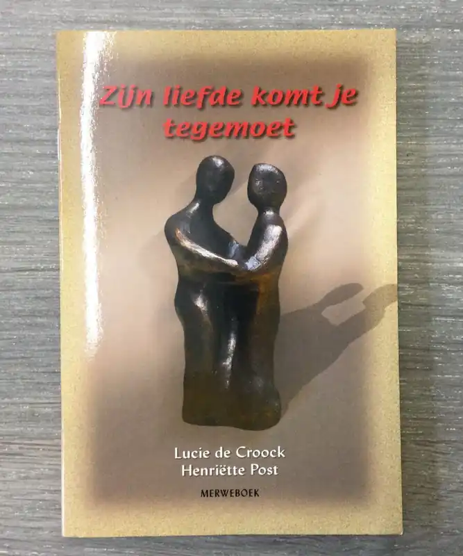 Flitsaanbieding ZIJN LIEFDE KOMT JE TEGEMOET - LUCIE DE CROOCK; HENRIETTE POST