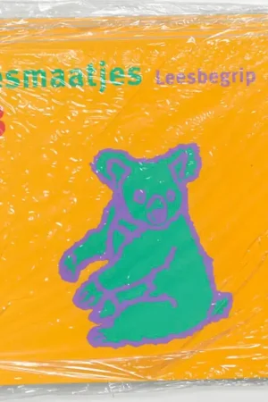 3B gr 3 Begrijpend lezen - Henk Hokke Flitsaanbieding