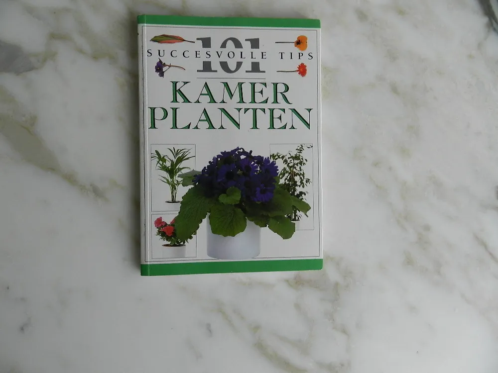 Lage Prijs Kamerplanten - J. Brookes