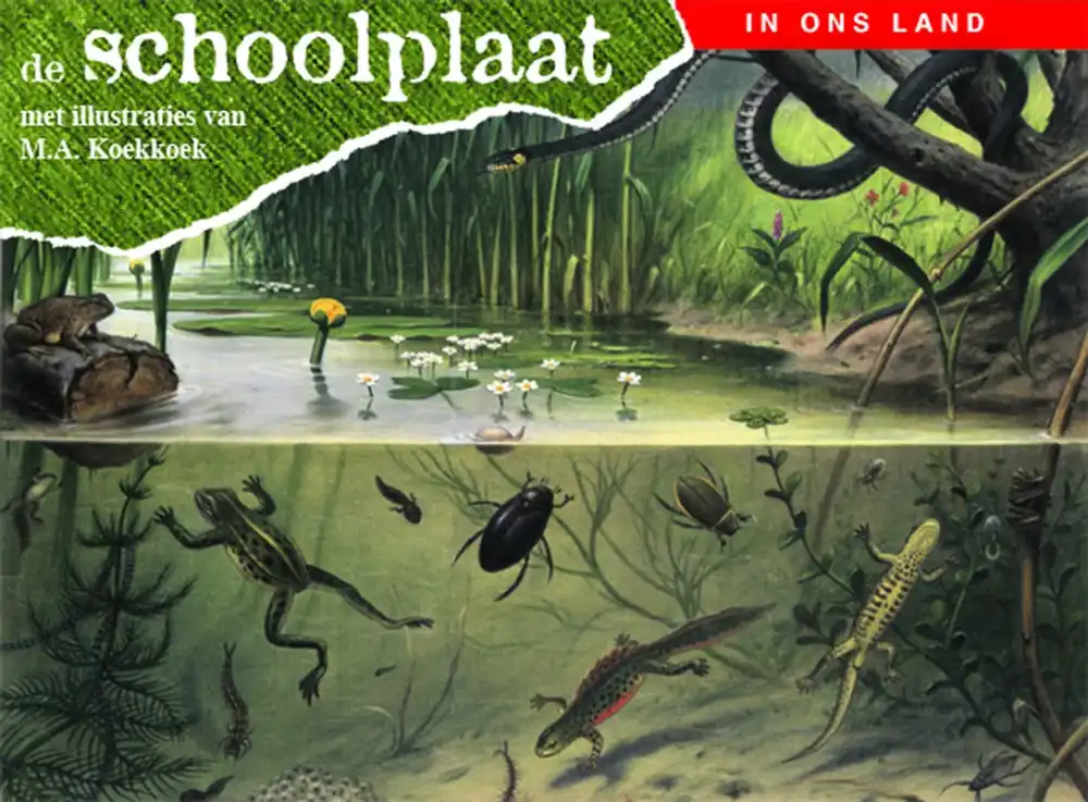In ons land - Koekkoek, M.A. Shop Nu