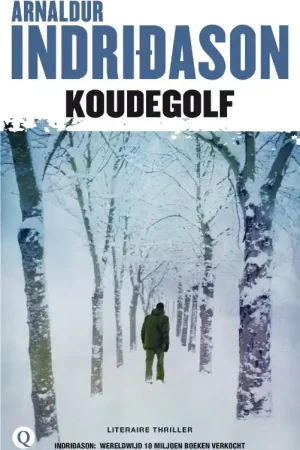 Veilige Betaling Koudegolf - Arnaldur Indridason