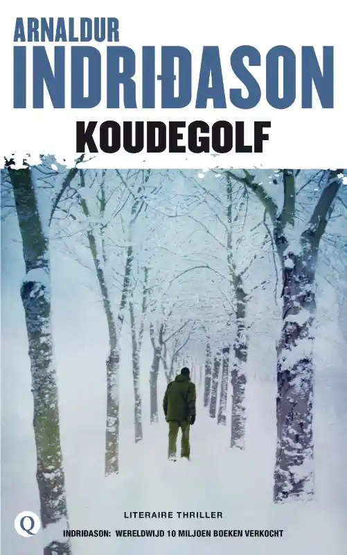 Veilige Betaling Koudegolf - Arnaldur Indridason