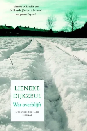 Wat overblijft - Lieneke Dijkzeul Hoge Kwaliteit