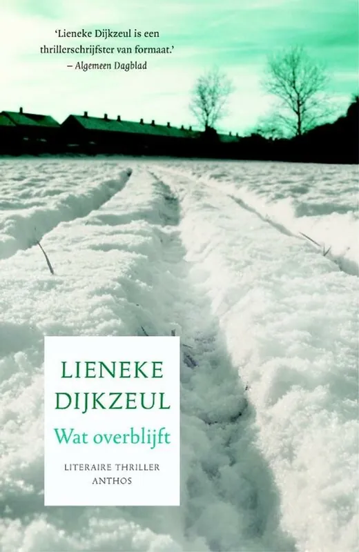 Wat overblijft - Lieneke Dijkzeul Hoge Kwaliteit