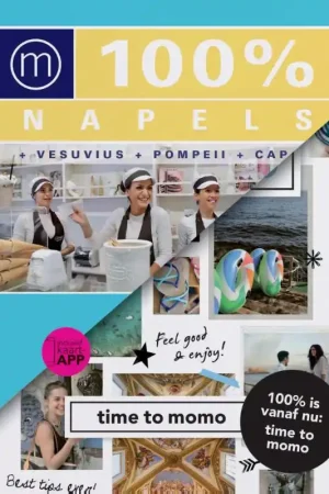 Voordeelprijs 100% Napels - Iris de Brouwer