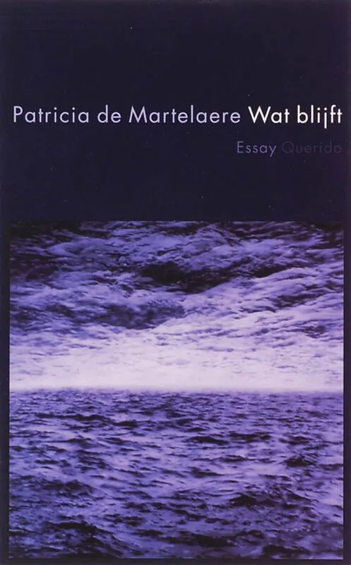 Superprijs Wat blijft - Patricia de Martelaere