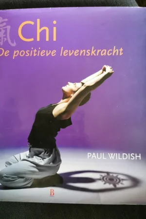 Nieuw Chi De positieve levenskracht - Paul Wildish