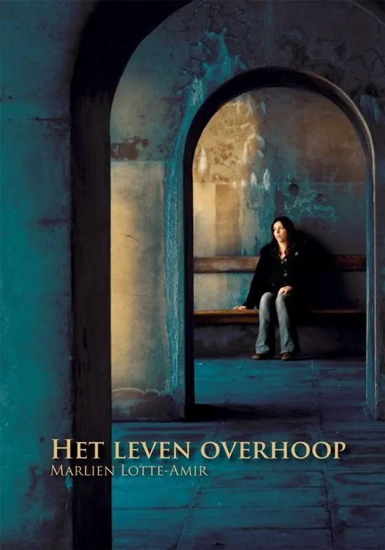 Betaalbaar Het leven overhoop - Marlien Lotte-Amir
