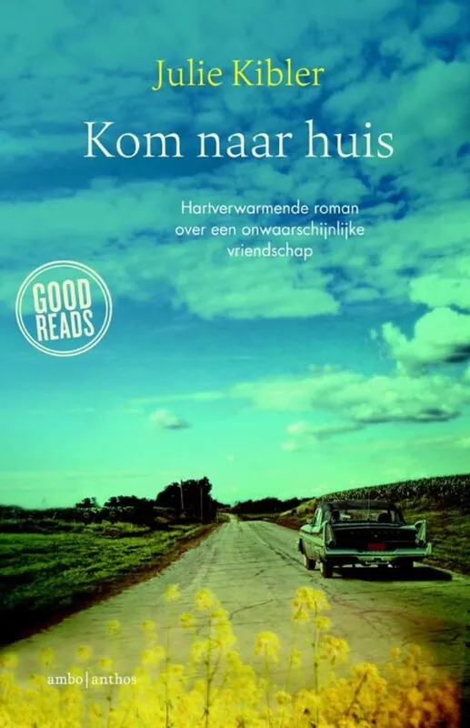 Kom naar huis - Julie Kibler Bestseller