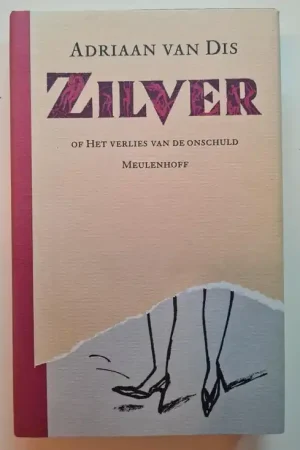Zilver - Dis Shop Nu