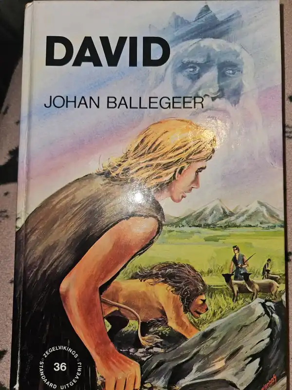 Korting David - Johan Ballegeer