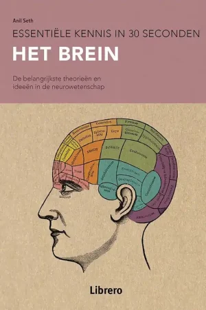 Alleen Vandaag Het brein - Tristan Bekinschtein; Daniel Bor; Christian Jarrett