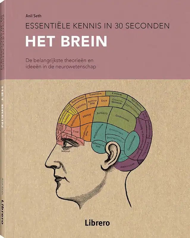 Alleen Vandaag Het brein - Tristan Bekinschtein; Daniel Bor; Christian Jarrett