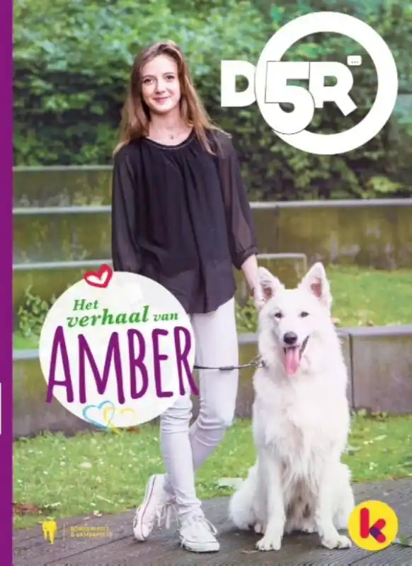 Het verhaal van Amber - Jan Ruysbergh (redactie) Must-Have