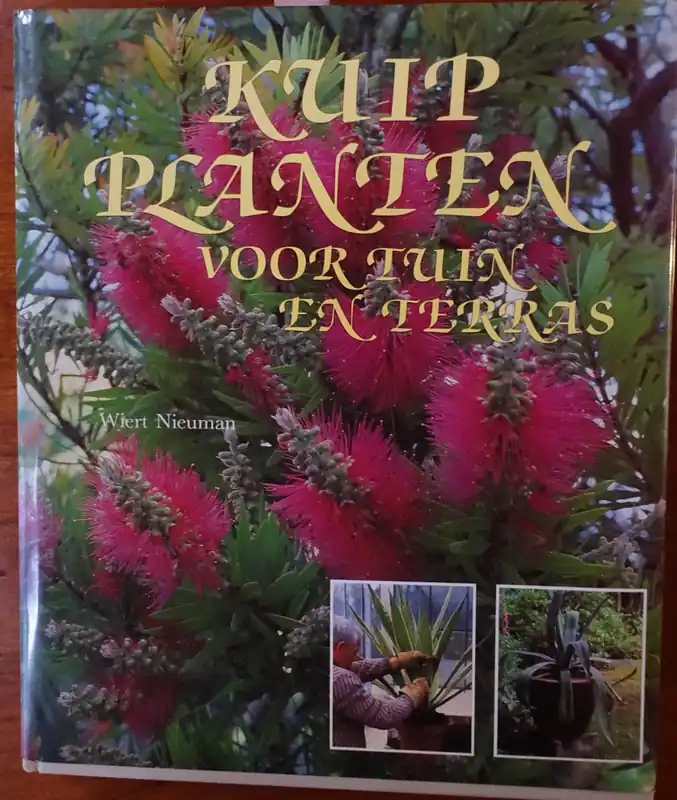 Kuipplanten voor tuin en terras - W. Nieuman Express Levering