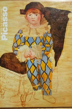 Veilige Betaling de Wereld van Picasso - Wertenbakker