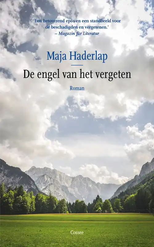 De engel van het vergeten - Maja Haderlap Lage Kosten