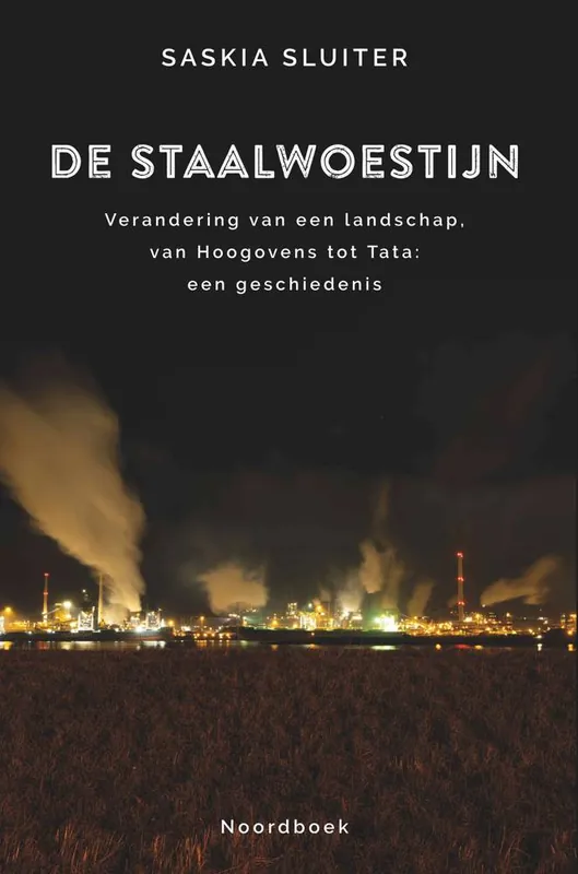 De staalwoestijn / Druk 1 Betaalbaar