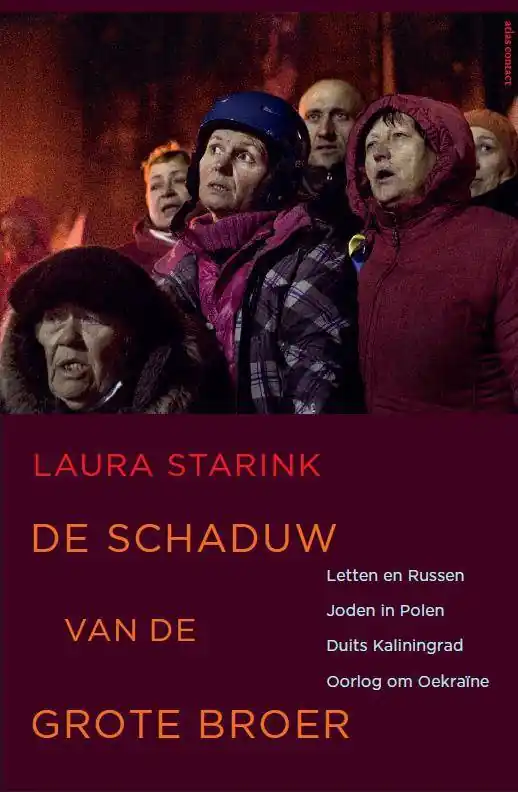 Betaalbaar De schaduw van de grote broer / Druk 6