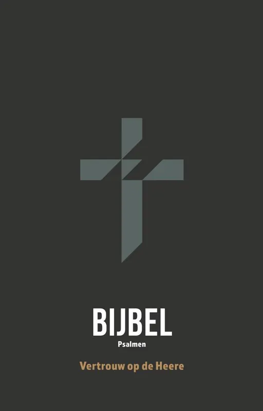 HSV Jongensbijbel / Druk 2 Korting