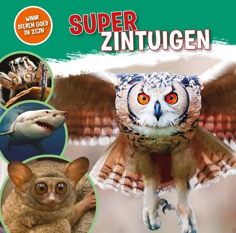 Laatste Kans Superzintuigen / Druk 1