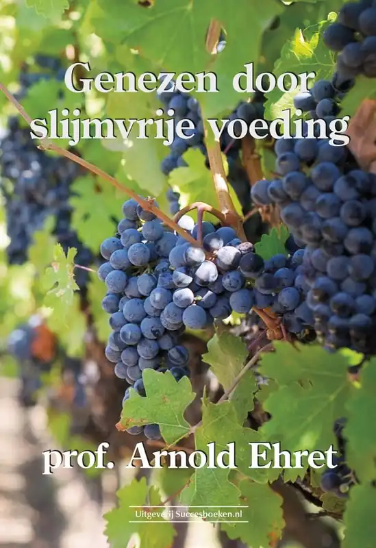 Koopje Genezen door slijmvrije voeding / Druk 1