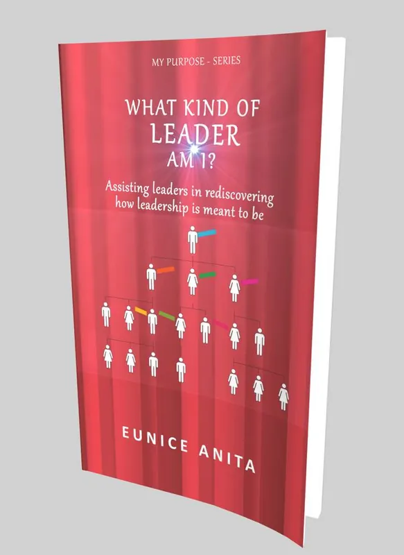 Hoge Kwaliteit What kind of leader am I? / 1st Edition