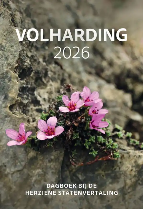 Veilige Betaling Volharding | 2026 / Druk 1