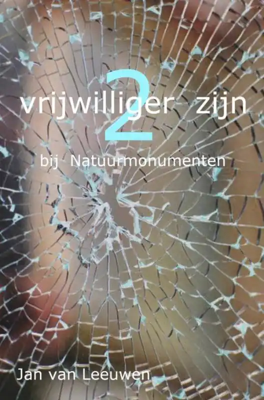 Must-Have Vrijwilliger zijn / Druk 1