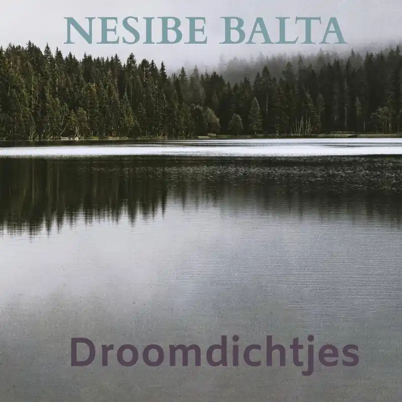 Dagaanbieding Droomdichtjes / Druk 1