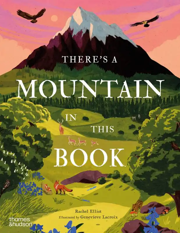 Uitverkoop There's a Mountain in This Book