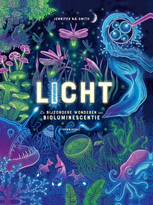 Alleen Vandaag Licht / Druk 1