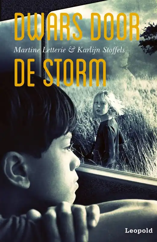 Actieprijs Dwars door de storm / Druk 4
