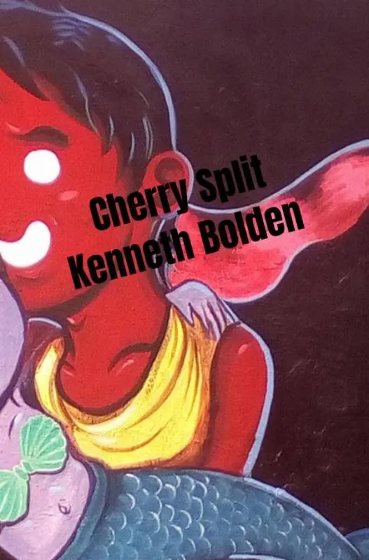 Cherry Split Kenneth Bolden / 1st Edition Koop Vandaag