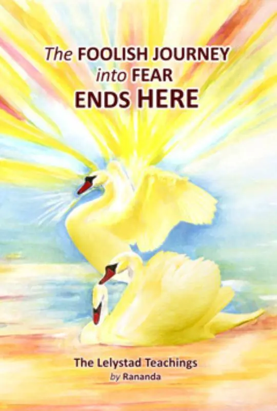 Goedkoop The Foolish Journey into Fear Ends Here / 1st Edition