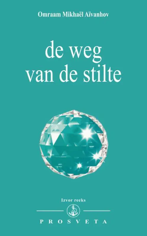 Alleen Vandaag De weg van de stilte / Druk 1
