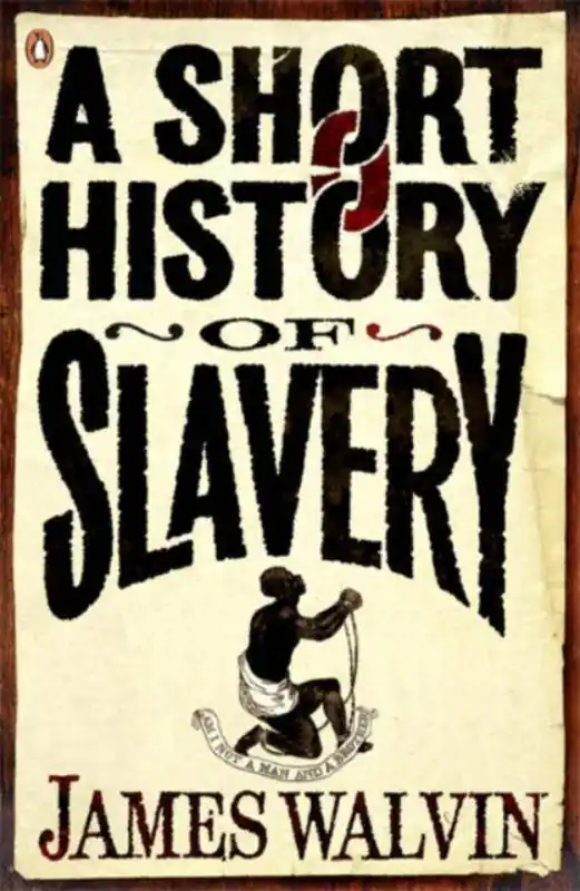 A Short History of Slavery Meest Verkocht