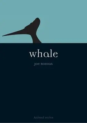 Premium Whale