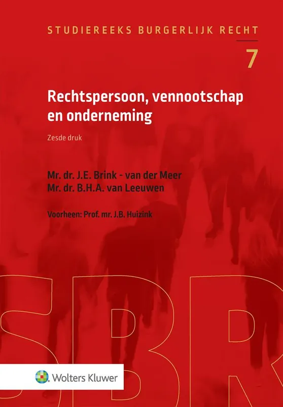 Rechtspersoon, vennootschap en onderneming / Druk 6 Alleen Vandaag