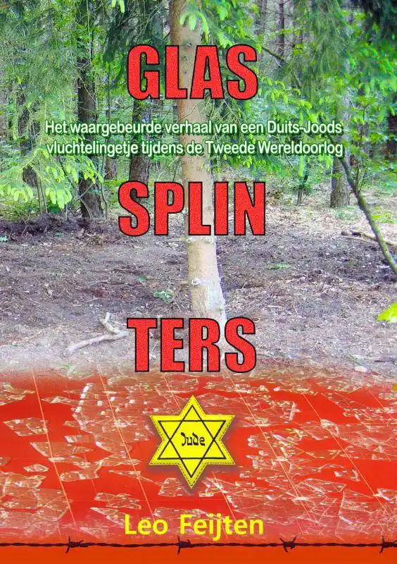 Glassplinters / Druk 1 Merkproduct