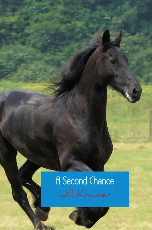 A Second Chance / 1st Edition Bestseller